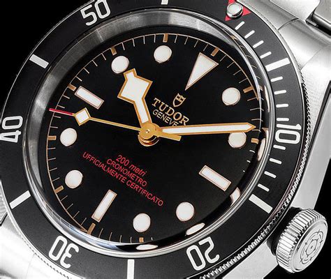 tudor black bay special edition